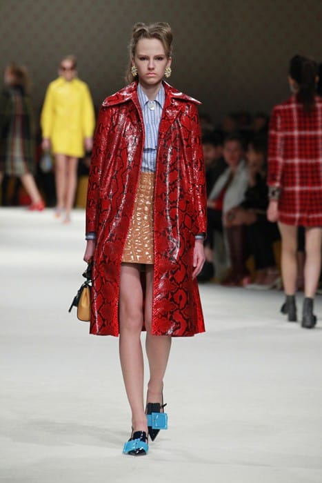 Miu Miu AW15- Dazed